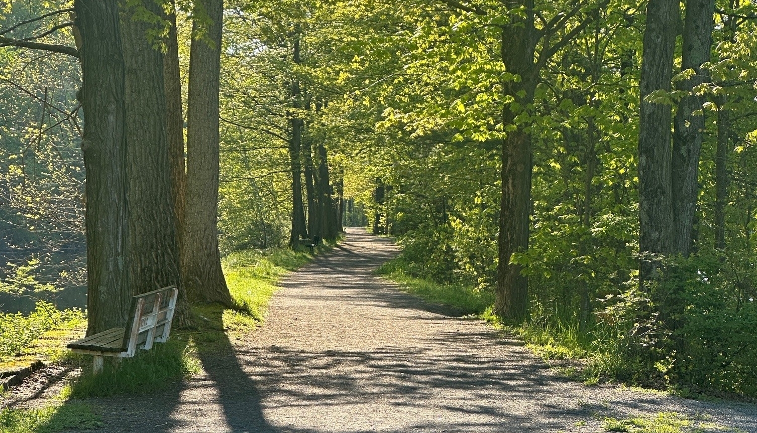 Feeder Canal Spring