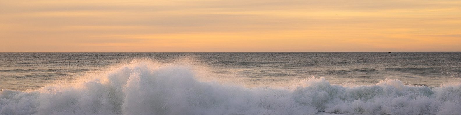 Surf