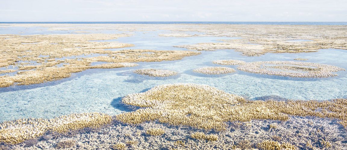 Great Barrier Reef